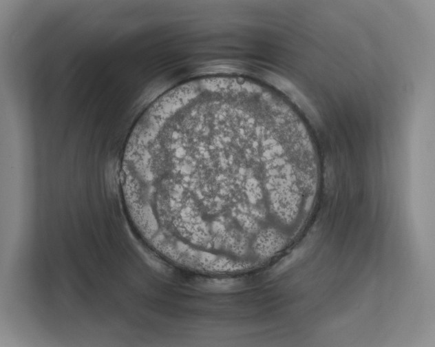 X0000111861233200908201251