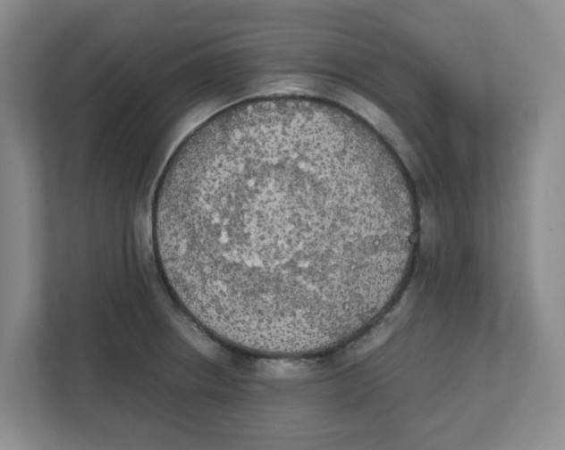 X0000111861234200908201251