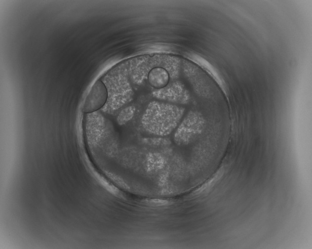 X0000111861235200908201251