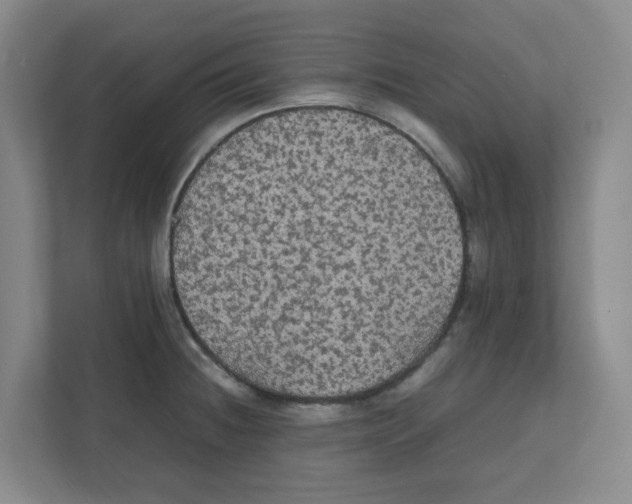 X0000111861236200908201251