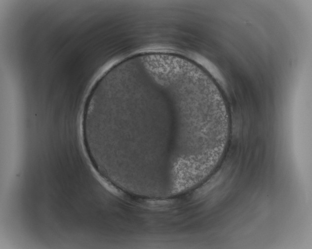 X0000111861237200908201251