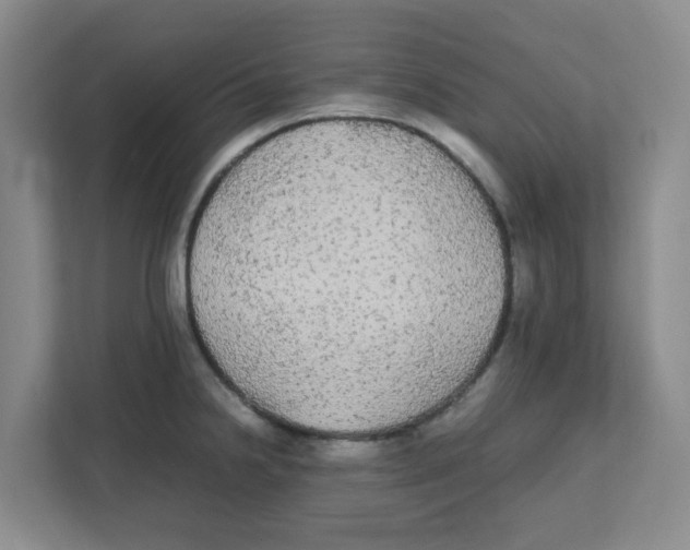 X0000111861238200908201251