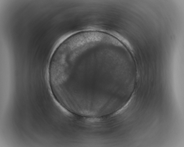 X0000111861239200908201251