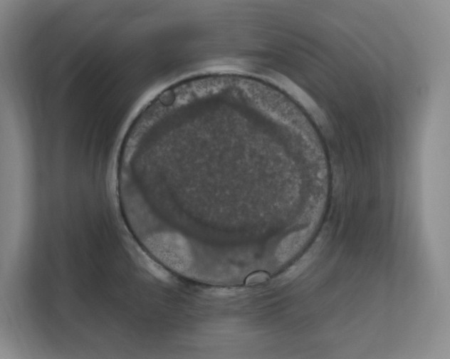 X0000111861240200908201251