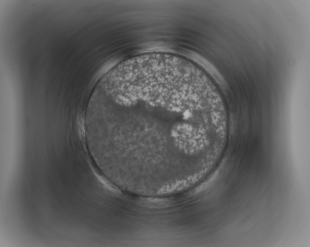 X0000111861241200908201251