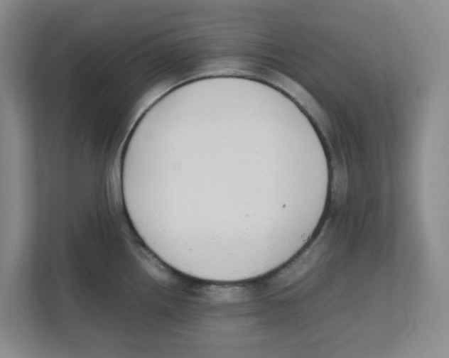 X0000111861242200908201251