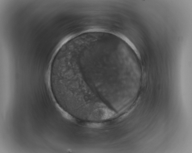 X0000111861245200908201251