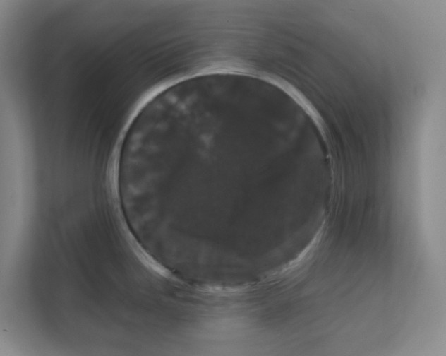 X0000111861246200908201251