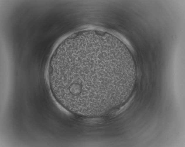 X0000111861247200908201251