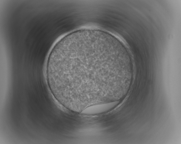 X0000111861248200908201251