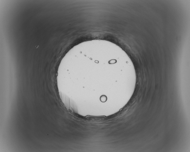 X0000111861249200908201250