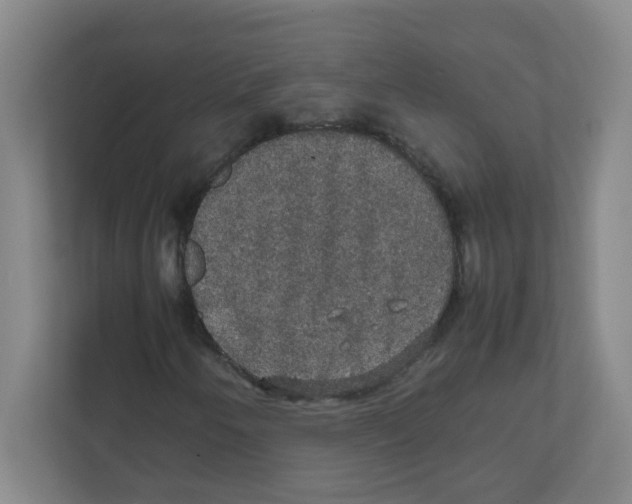 X0000111861250200908201250