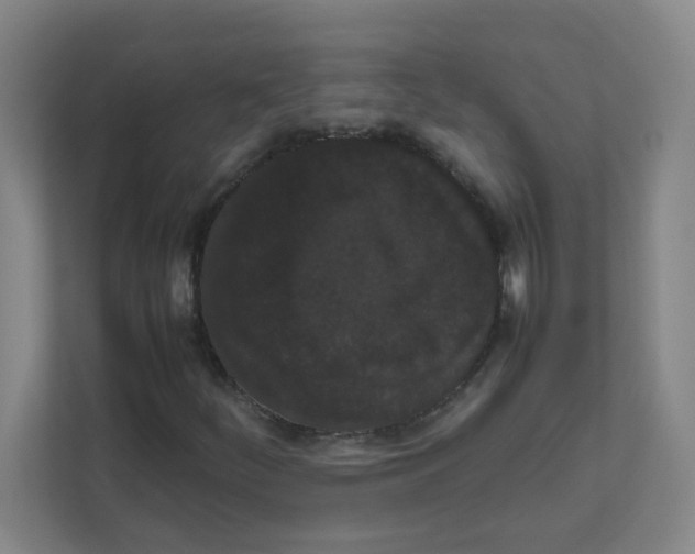 X0000111861252200908201250