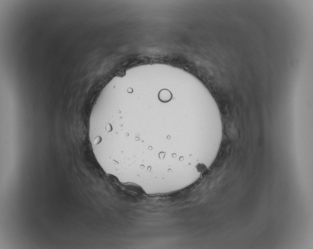 X0000111861253200908201250
