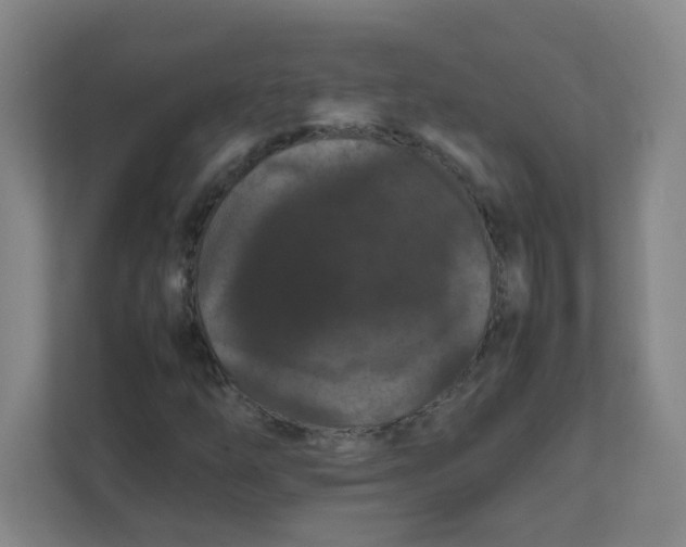 X0000111861254200908201250