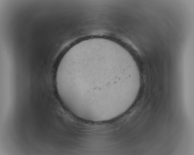 X0000111861256200908201250