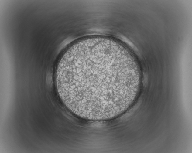X0000111861259200908201250