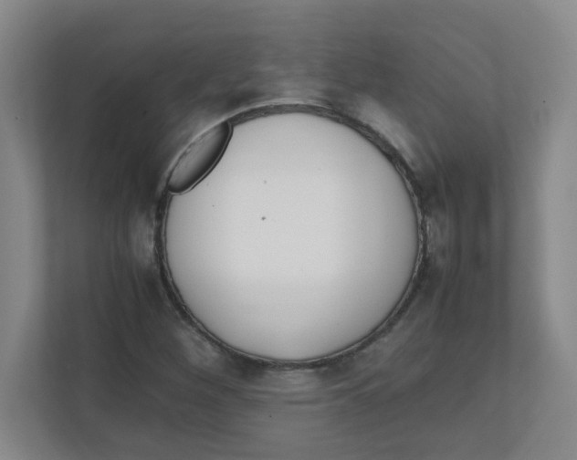 X0000111861260200908201250