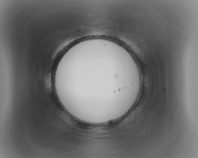X0000111861262200908201250
