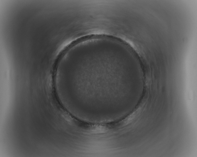 X0000111861263200908201250