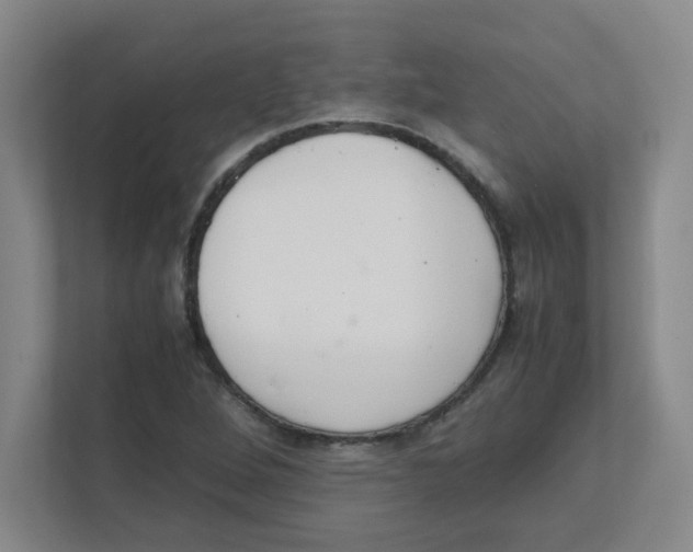 X0000111861264200908201250