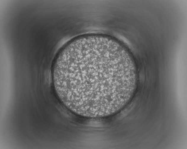 X0000111861267200908201250
