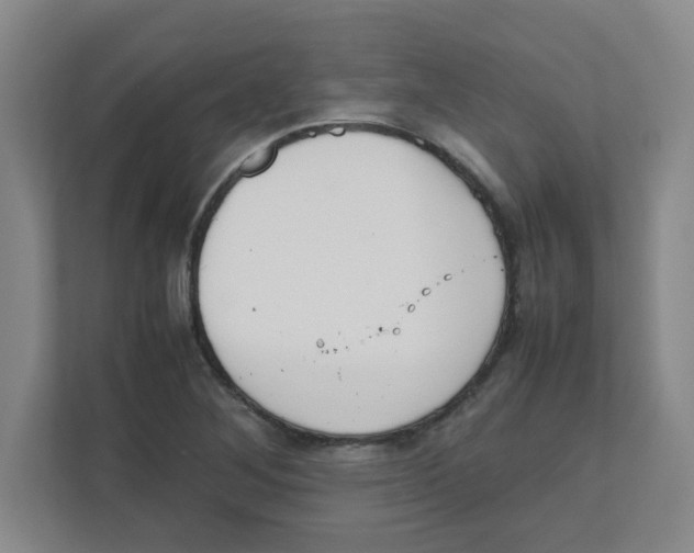 X0000111861268200908201250