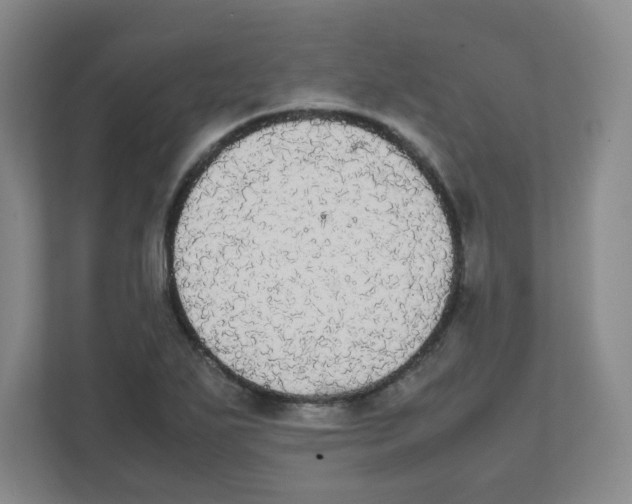X0000111861271200908201250