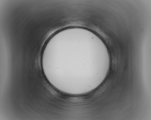 X0000111861272200908201250