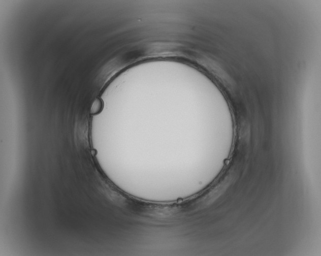 X0000111861273200908201250
