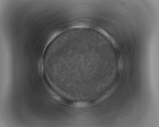 X0000111861274200908201250