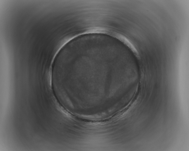 X0000111861276200908201250