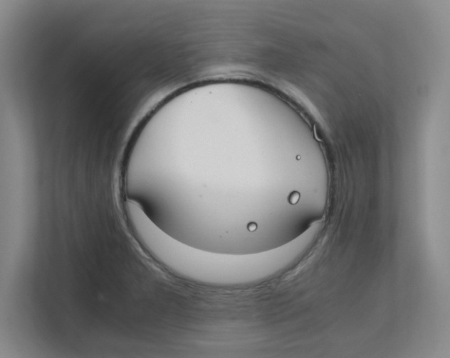 X0000111861277200908201250