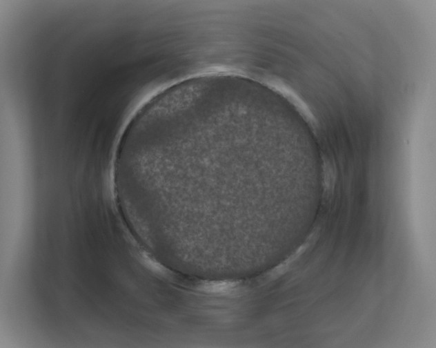X0000111861278200908201250