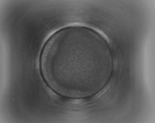 X0000111861279200908201250