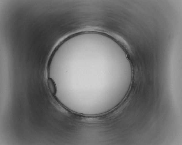 X0000111861280200908201250