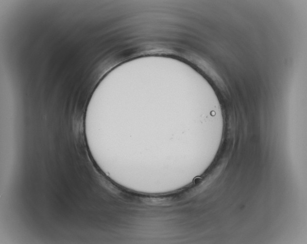 X0000111861281200908201250