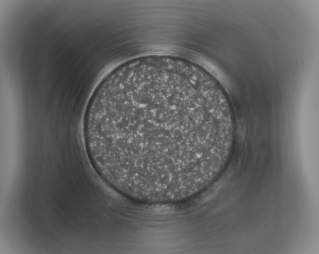 X0000111861283200908201250