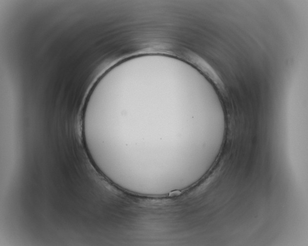 X0000111861284200908201250