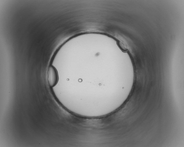 X0000111861285200908201250