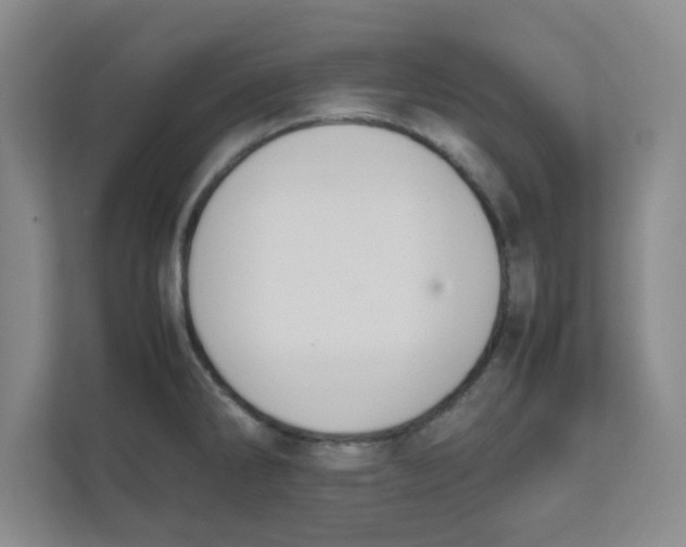 X0000111861286200908201250
