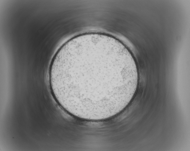 X0000111861287200908201250