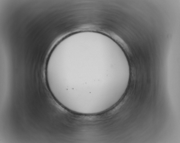 X0000111861288200908201250