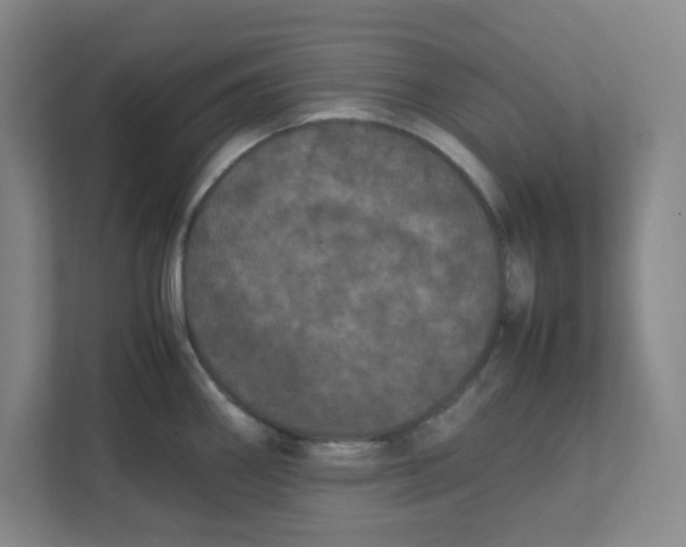 X0000111861290200908201250