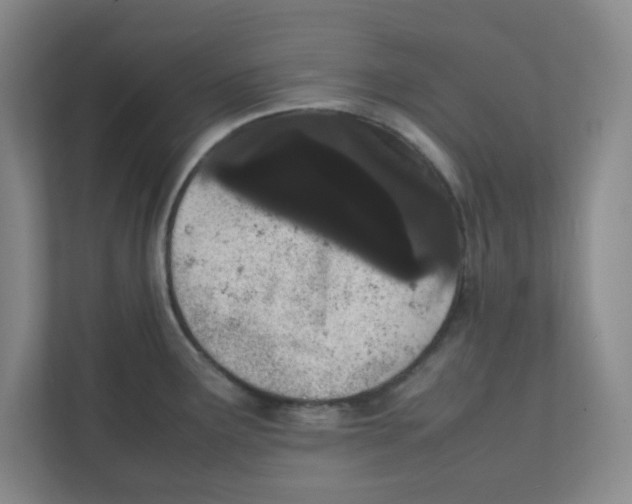 X0000111861291200908201250