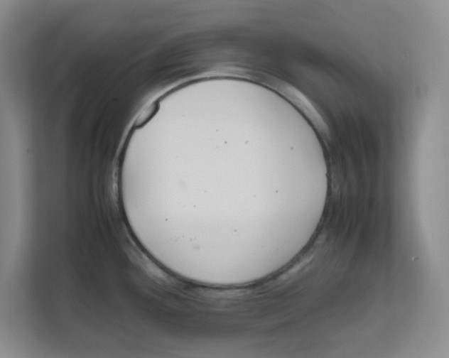 X0000111861292200908201250