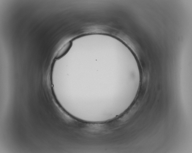 X0000111861293200908201250