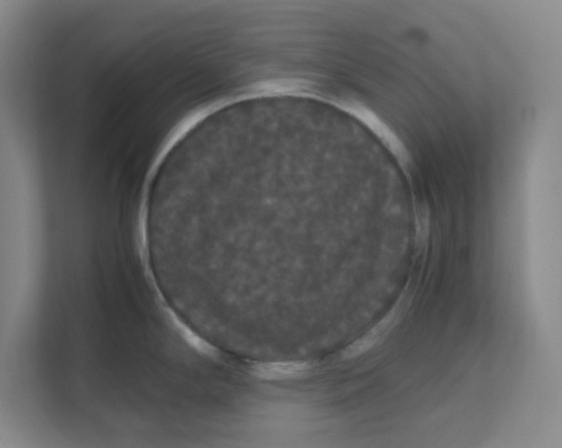 X0000111861294200908201250