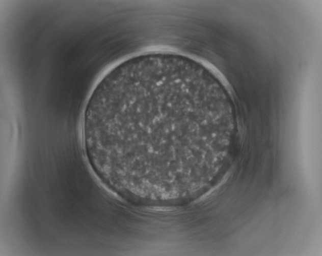 X0000111861295200908201250