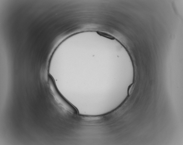 X0000111861296200908201250